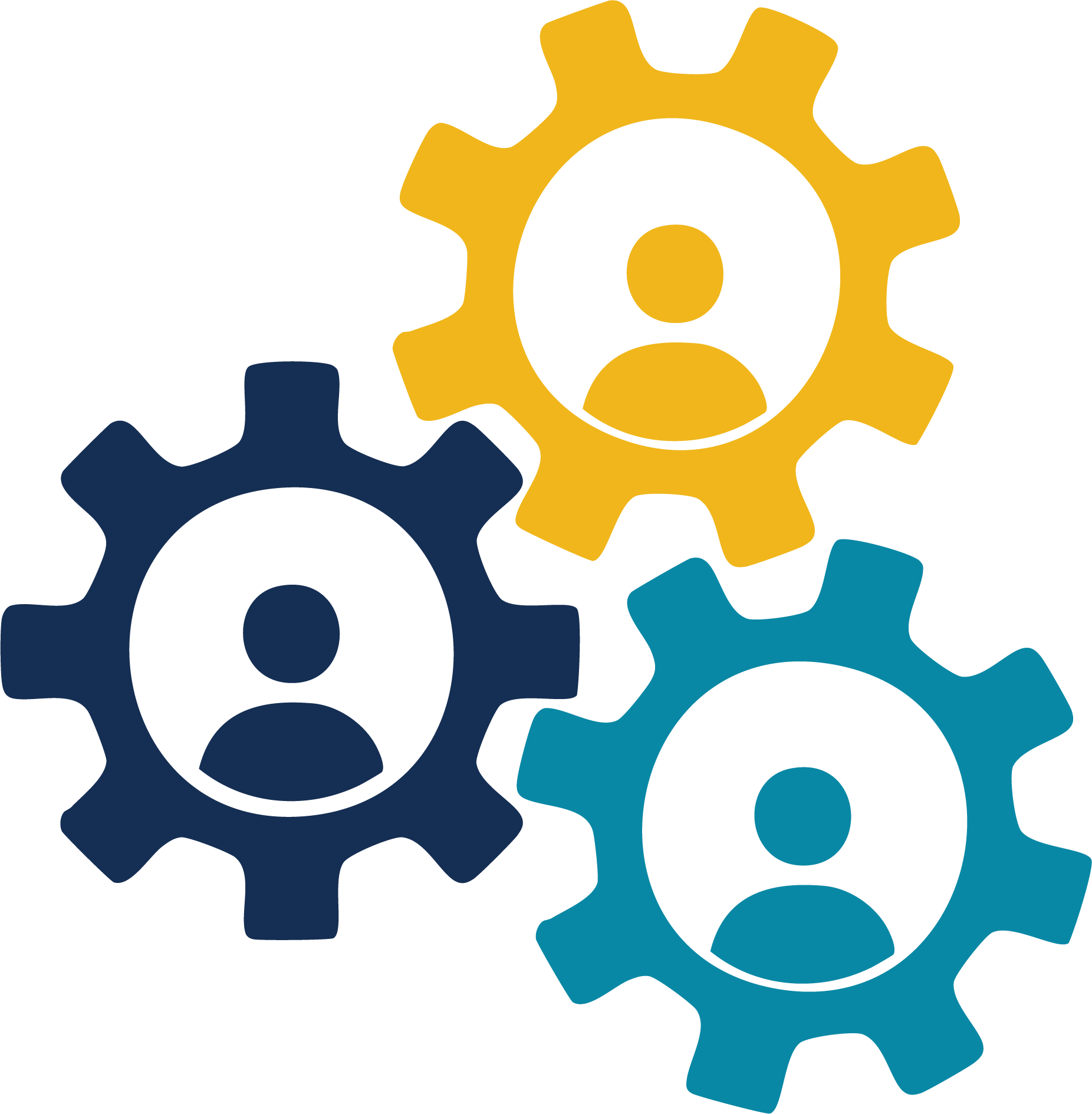 Gráfico de proceso de acreditación